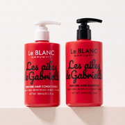 Les Ailes de Gabriella Hair Care Bundle